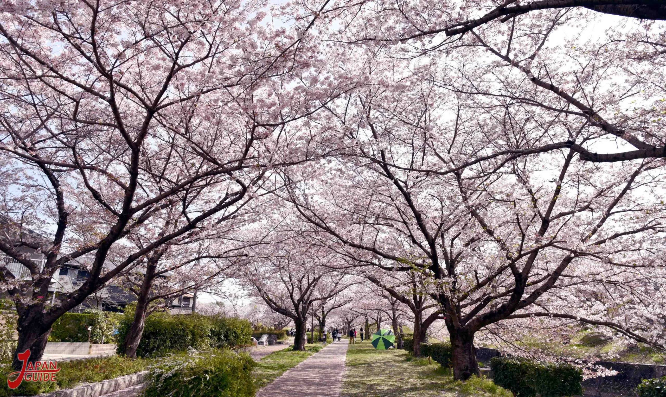🏞️ 이노우에 공원(이노우에 코엔) 이미지 7